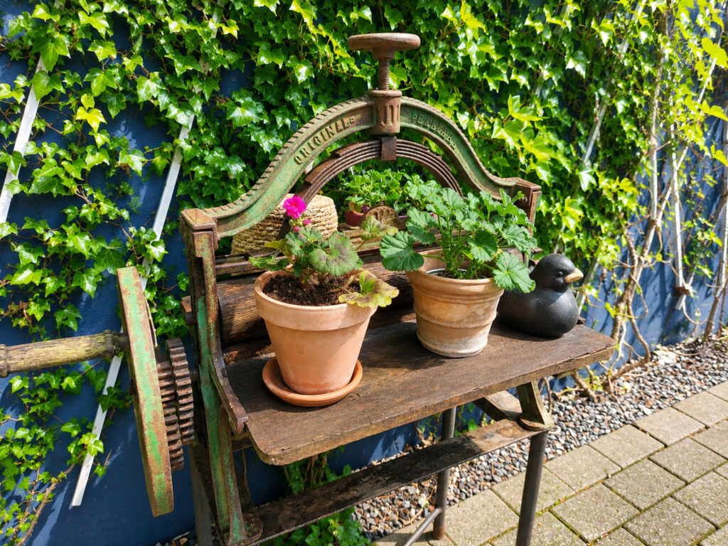 Charming vintage garden feature with an antique press, potted flowers and climbing ivy adding character to the garden.